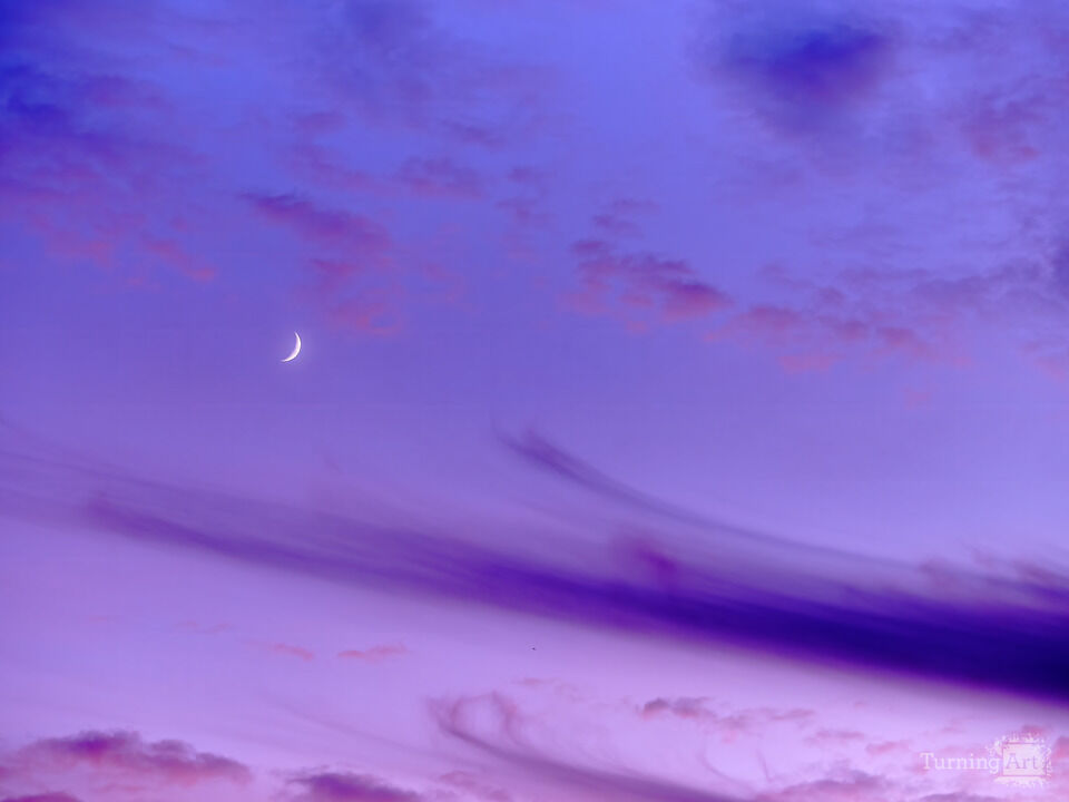 Reaching for the Moon!