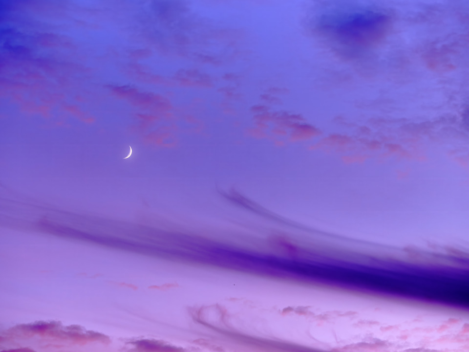 Reaching for the Moon!