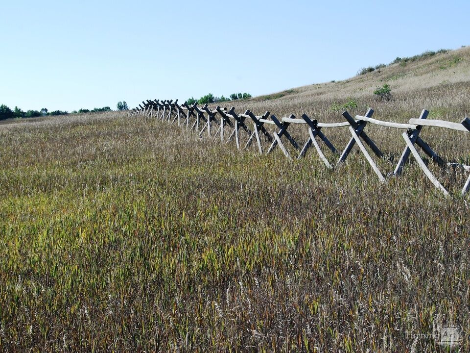 Fort Collins Fence Line