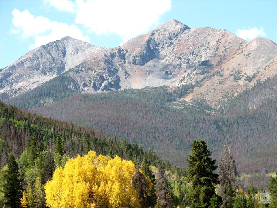 Gold Nugget in Frisco, CO