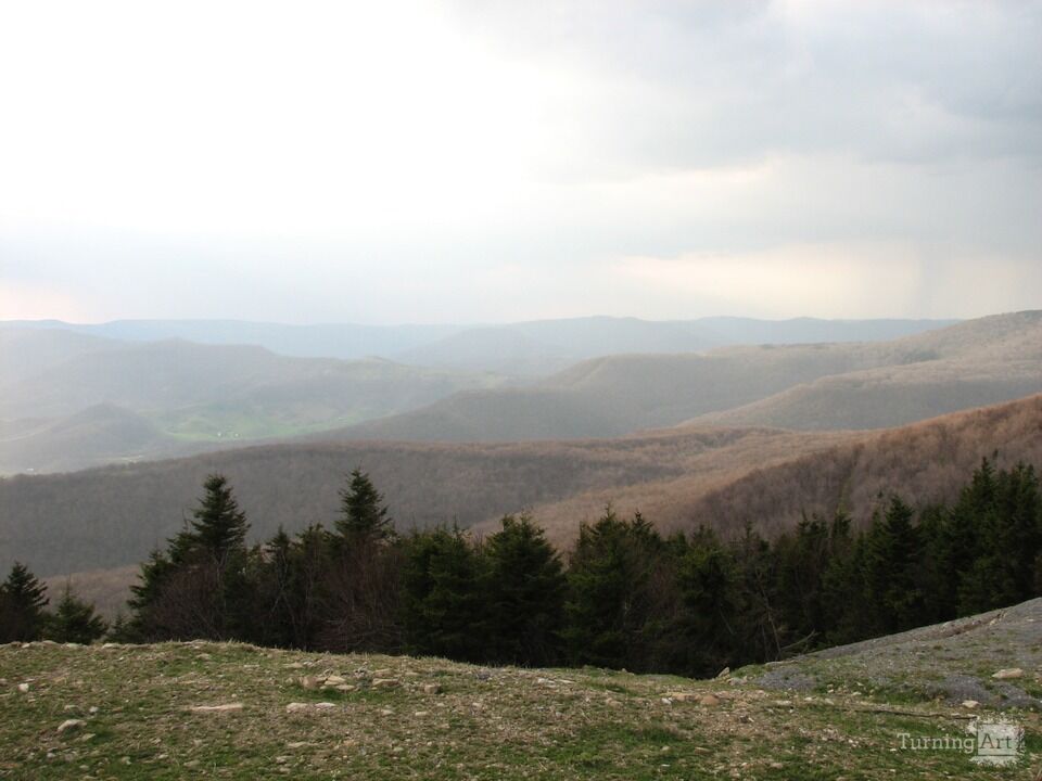 West Virginia Beauty