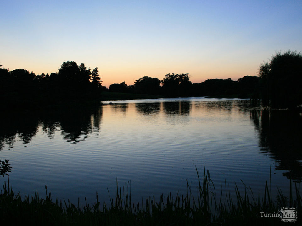 Japanese gardens sunset