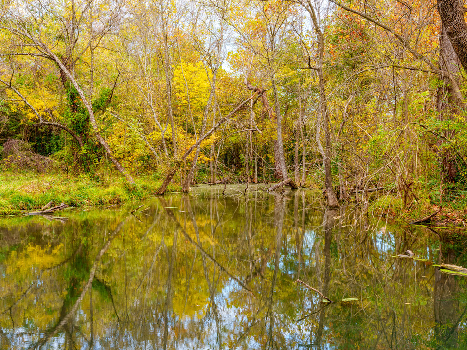 Sarcoxie Mirror Of Seasonal Beauty