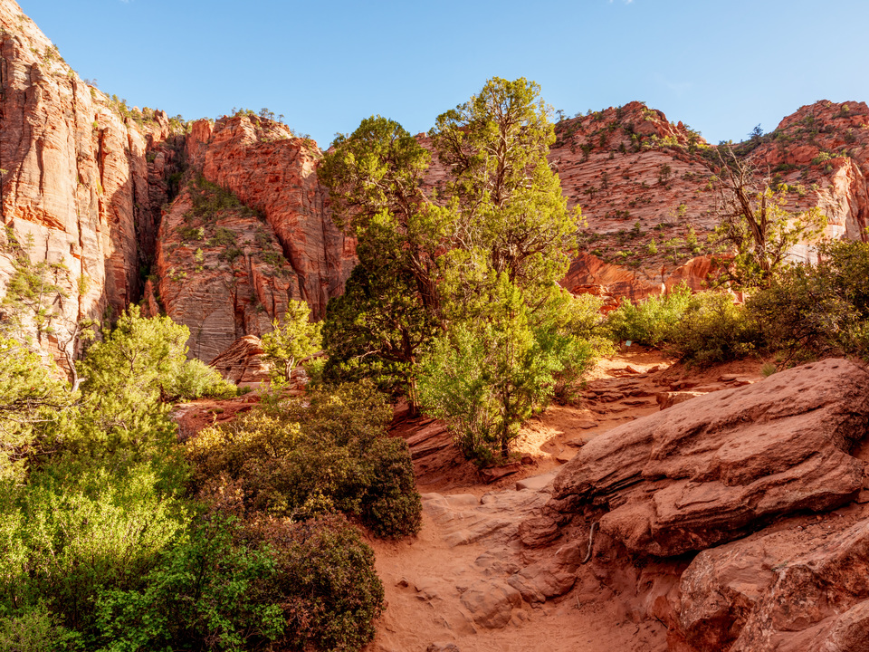 Zion Trail Evening Shadows And Light