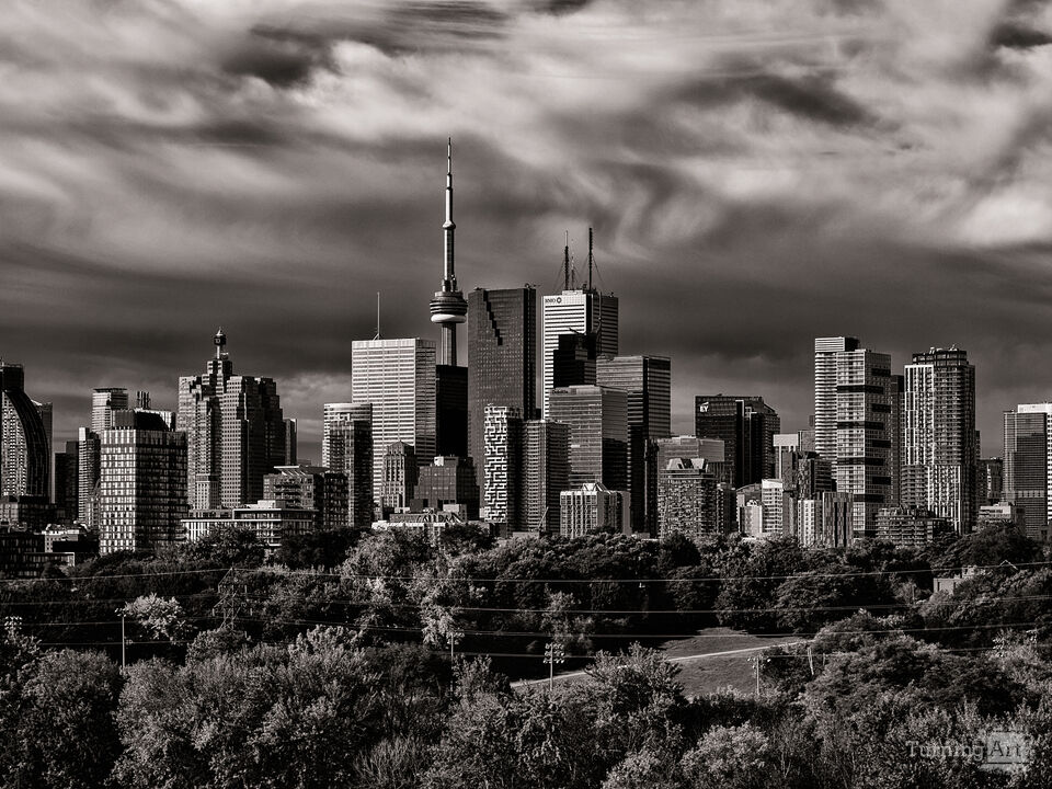 Toronto Skyline From Riverdale Park No 4