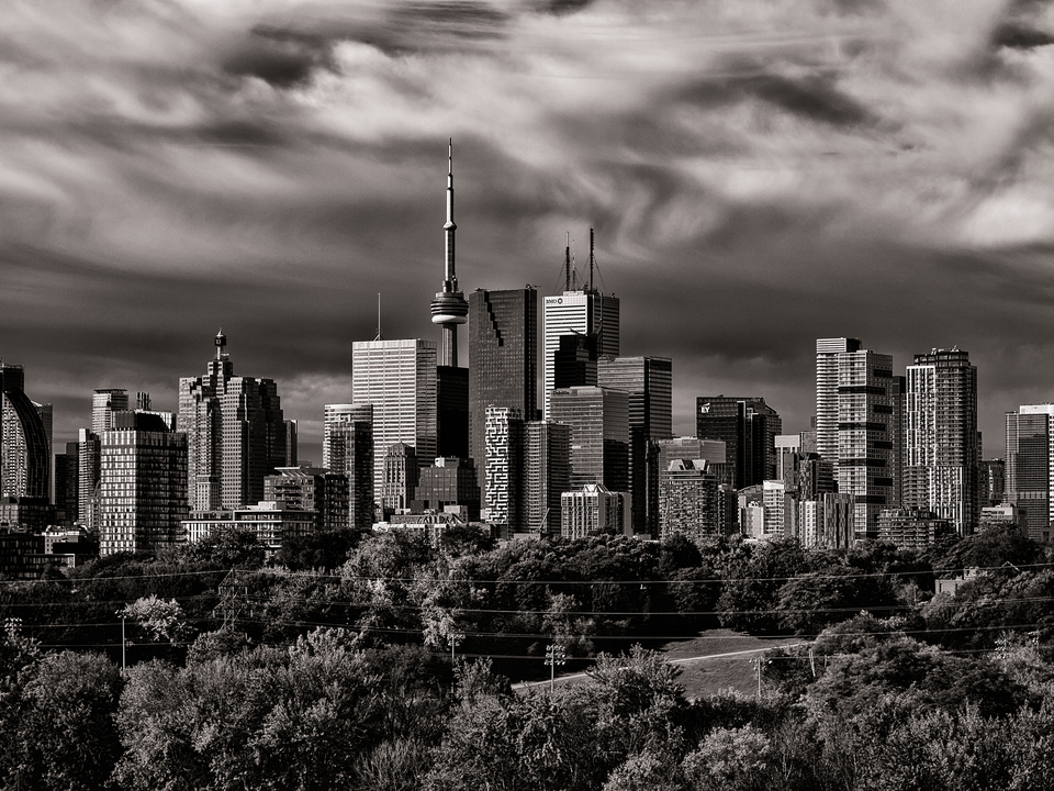 Toronto Skyline From Riverdale Park No 4