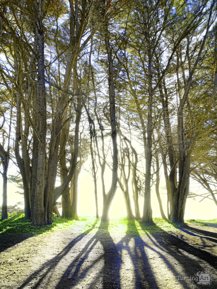 How the Light Gets In