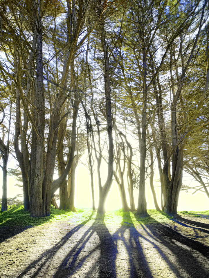 How the Light Gets In