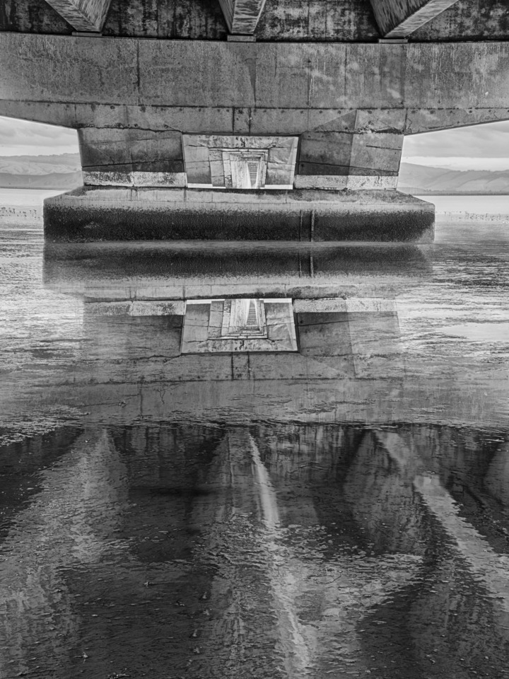 Under the Dumbarton Bridge