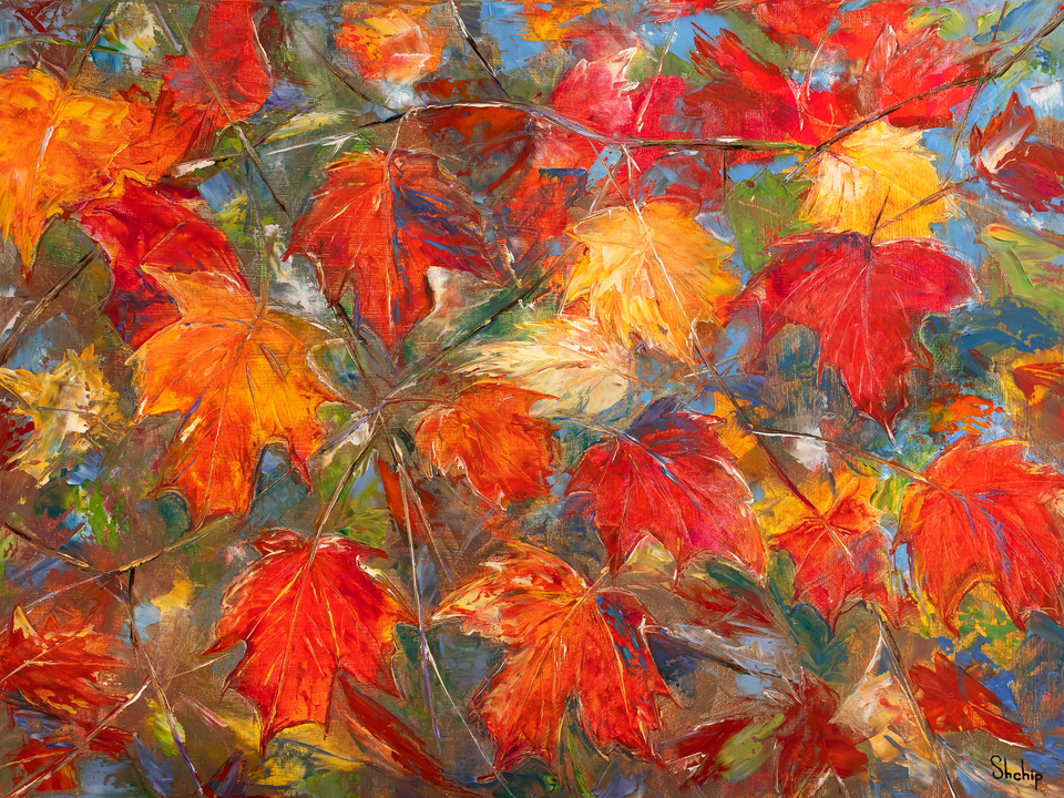 Autumn Maple Leaves