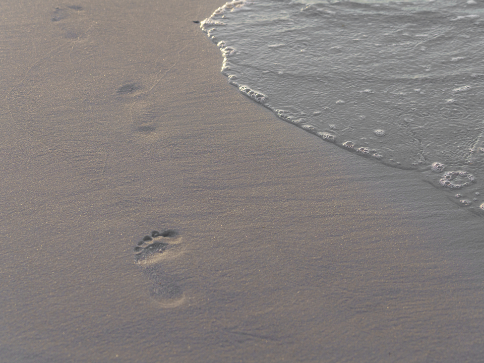 Enjoy The Simple Moments