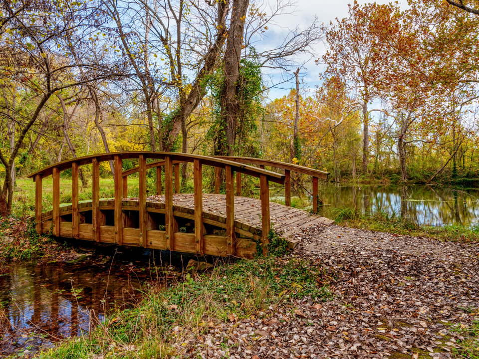 Wooden Bridge Sarcoxie Spring