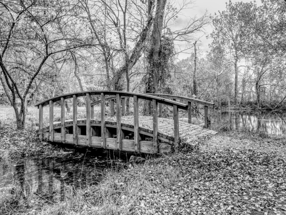 Wooden Bridge Sarcoxie Spring Grayscale