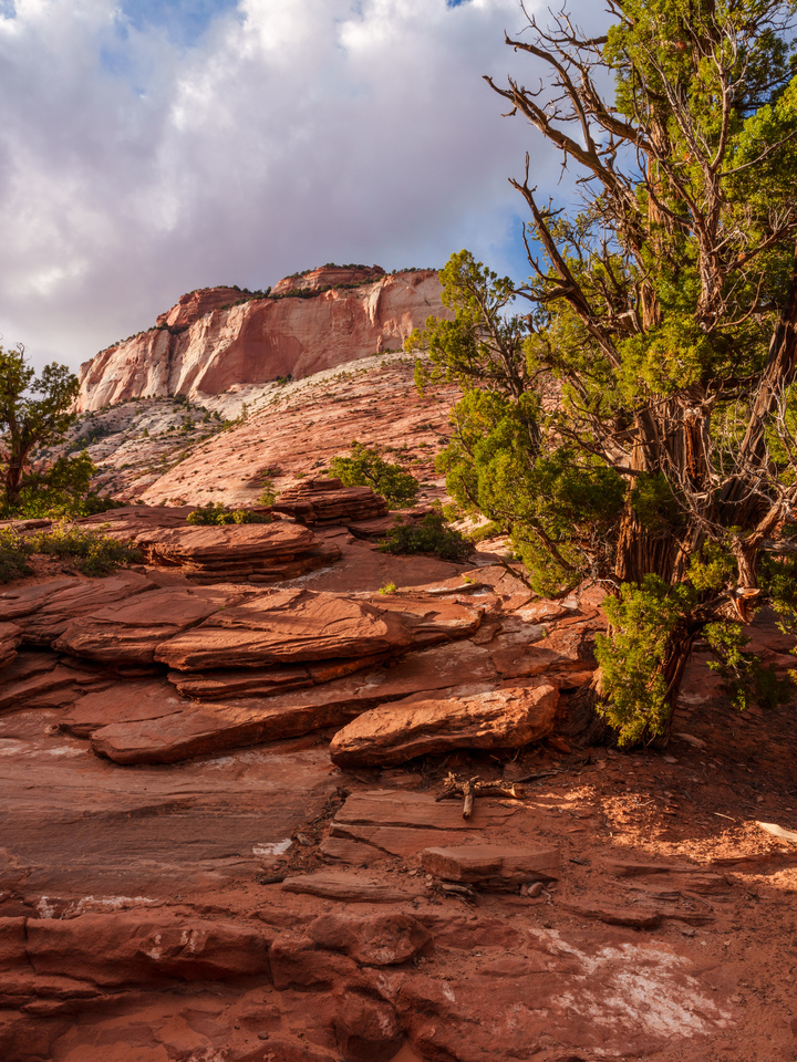 Sunlit Mountain Terrain Of Zion