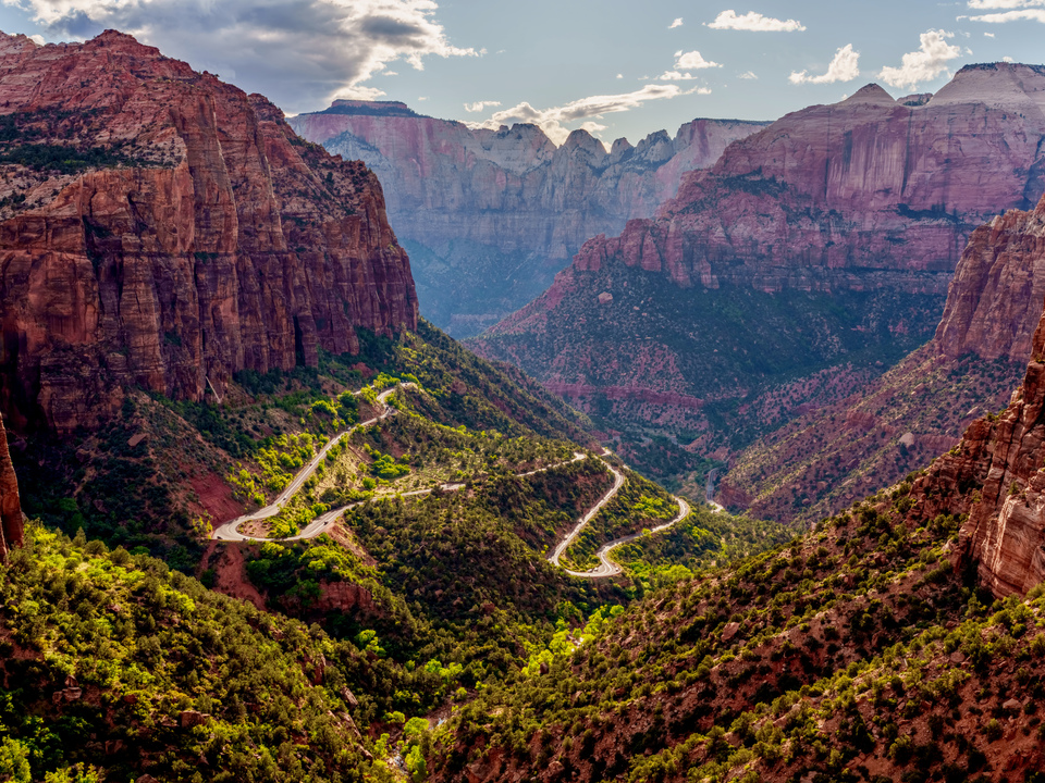 Zion Switchbacks In The Canyon