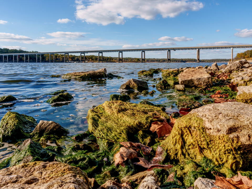 Nemo Bridge From Rocky Shoreline