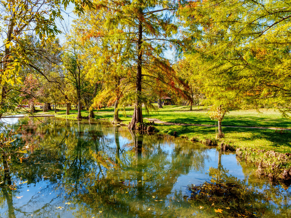 Autumn Reflections Jolly Mill Spring