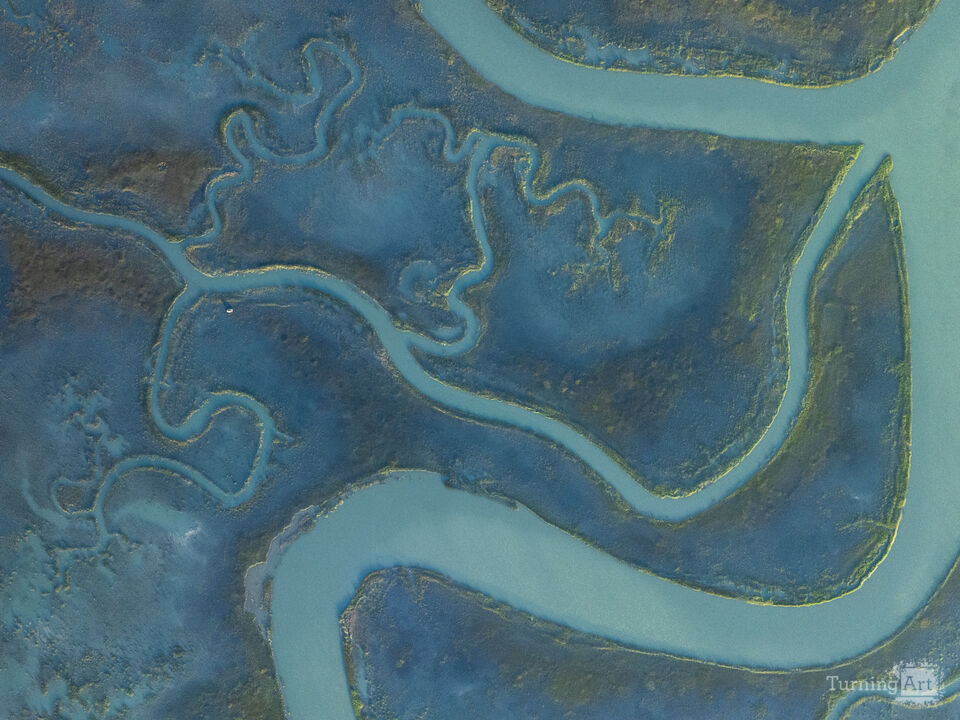 Channels of Wachapreague