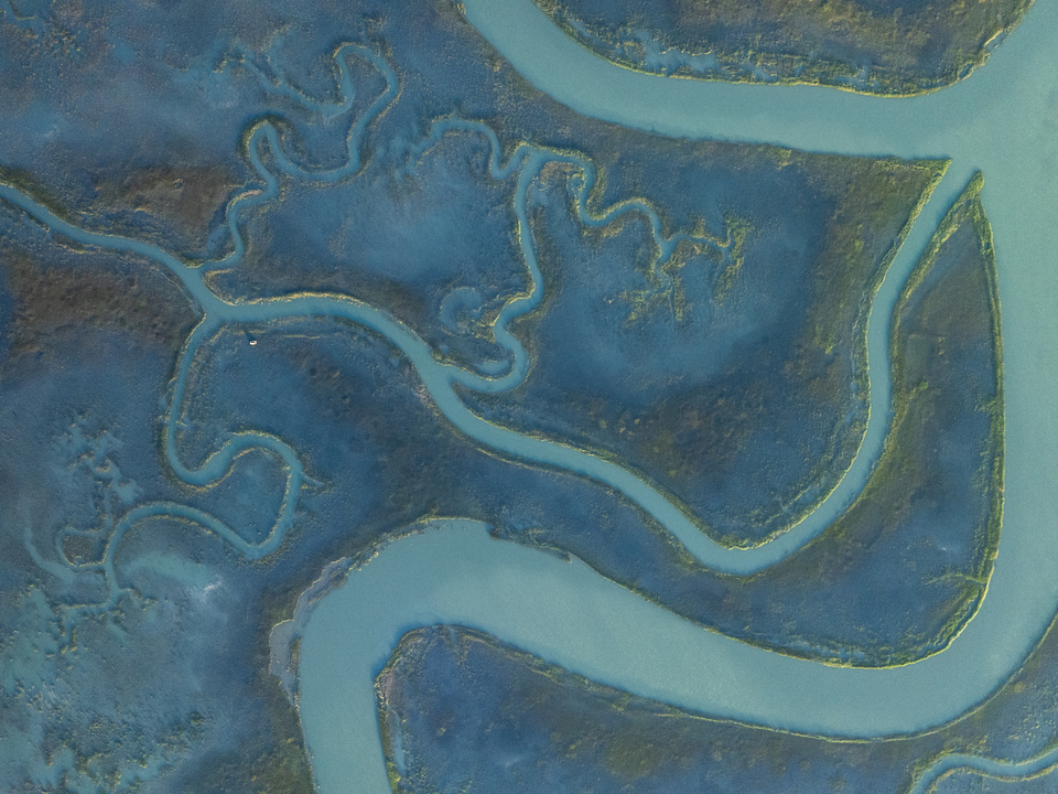 Channels of Wachapreague