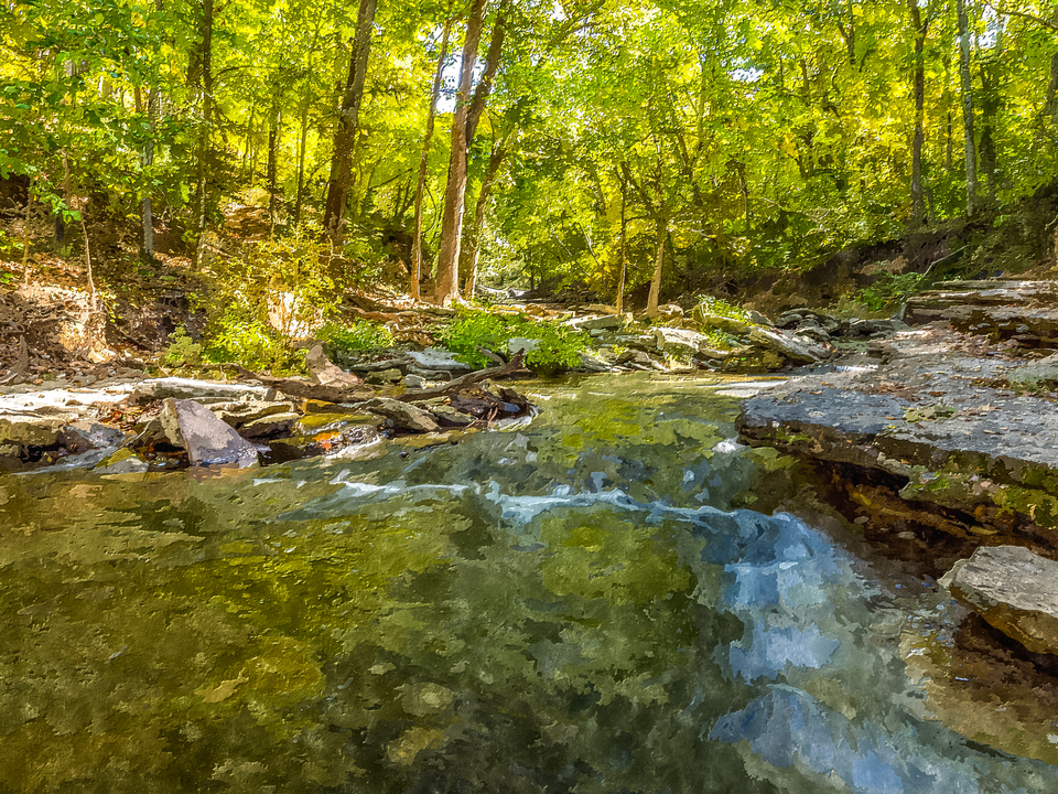 Carved By Nature Colored By Fall Painterly