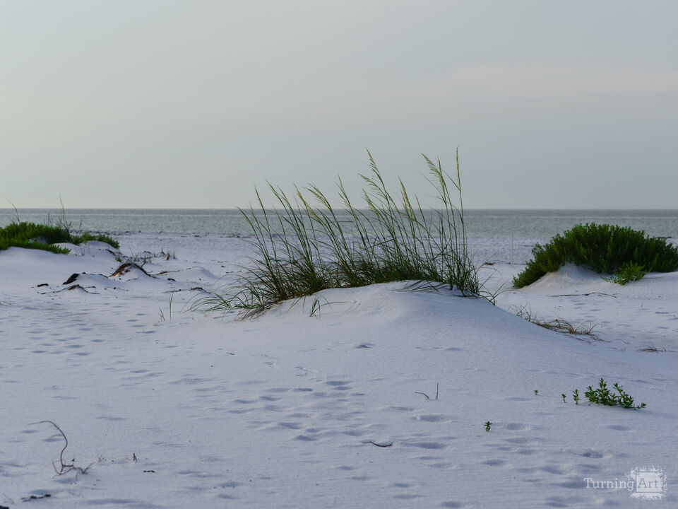 Coastal Stillness Before Sunrise