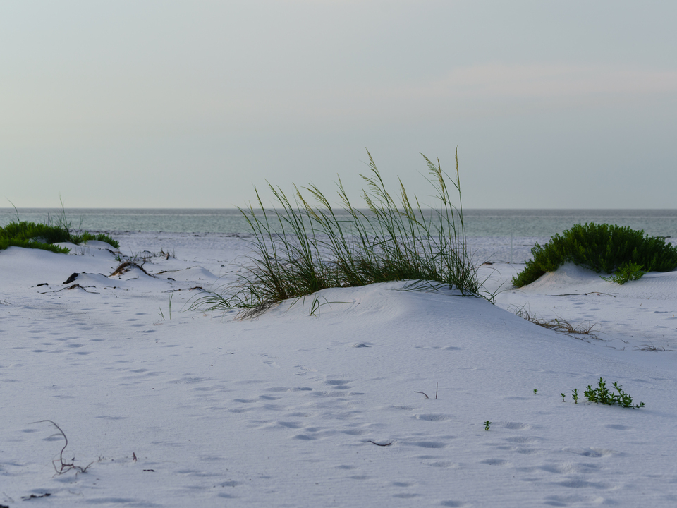 Coastal Stillness Before Sunrise
