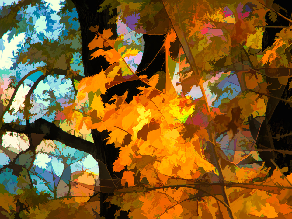 Fall Abstraction