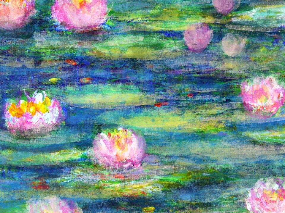 Water lilies 