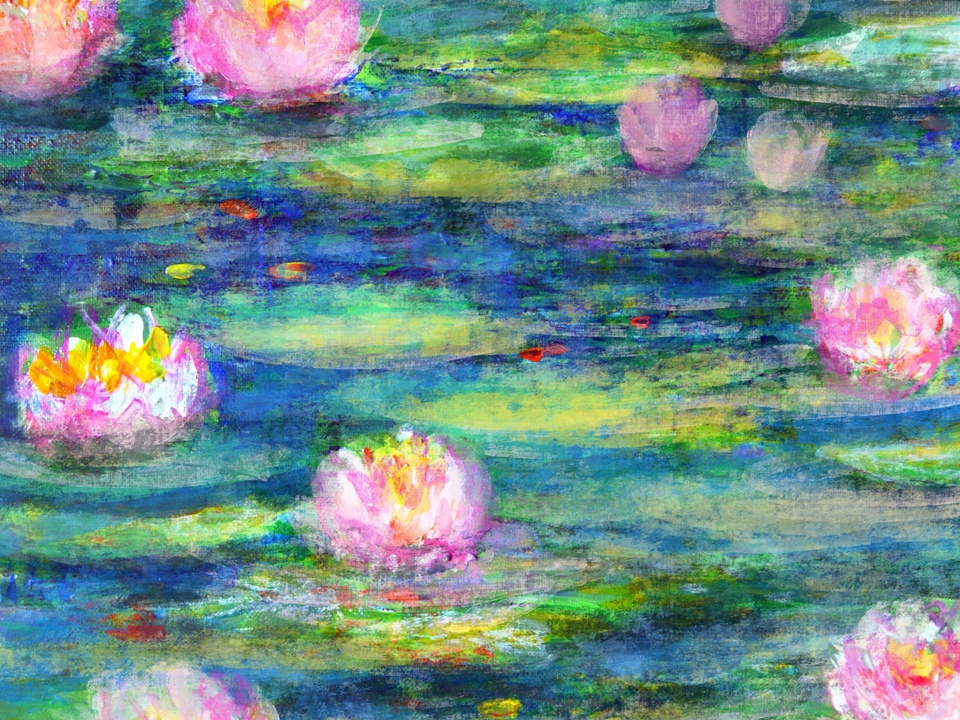 Water lilies 