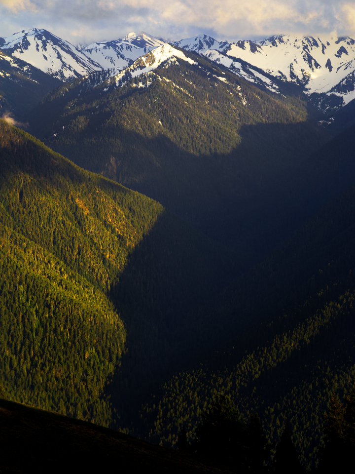 Hurricane Ridge