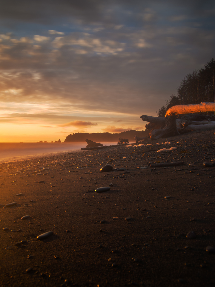 Mist on Rialto Beach