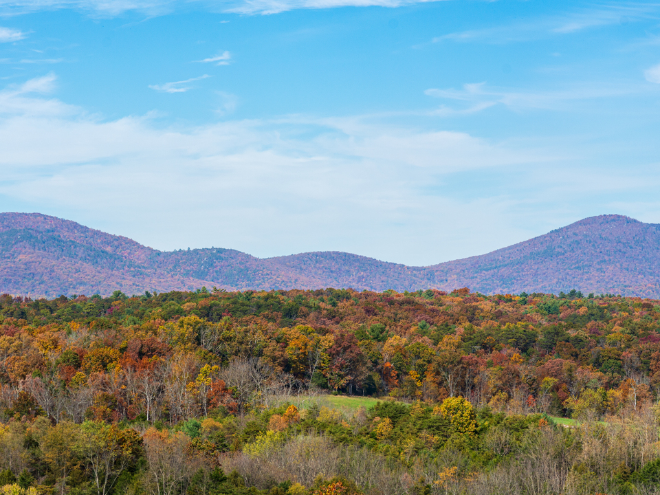 Autumn View of the Allegheny Mountains
