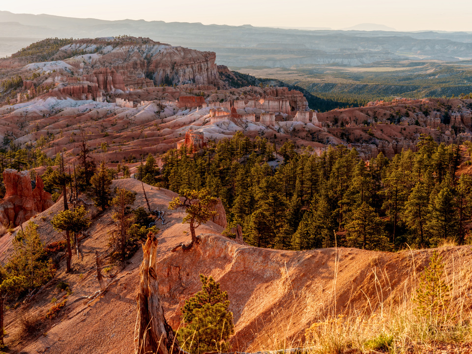 Awakening Bryce Canyon
