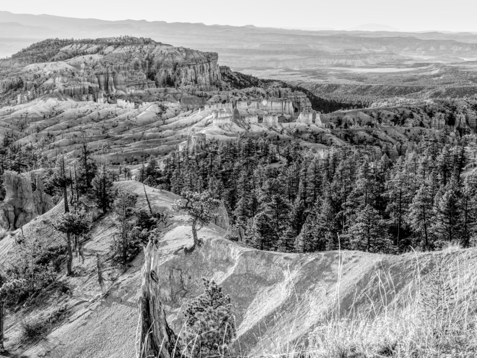 Awakening Bryce Canyon Grayscale