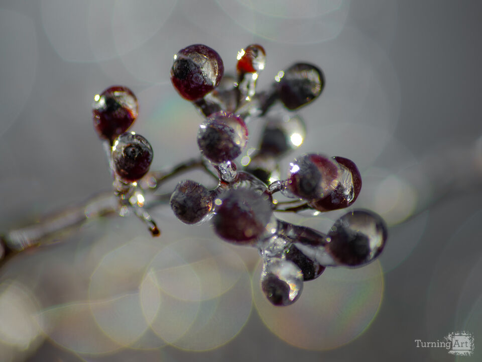 Glass Berries 5