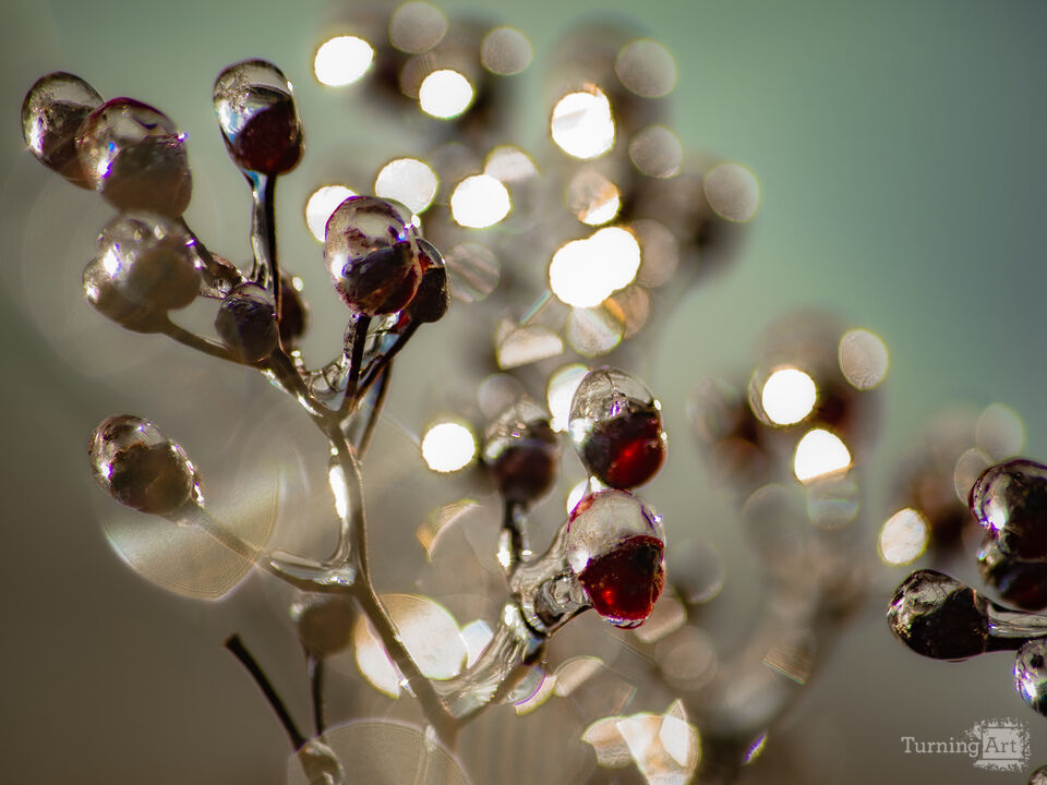 Glass Berries 7