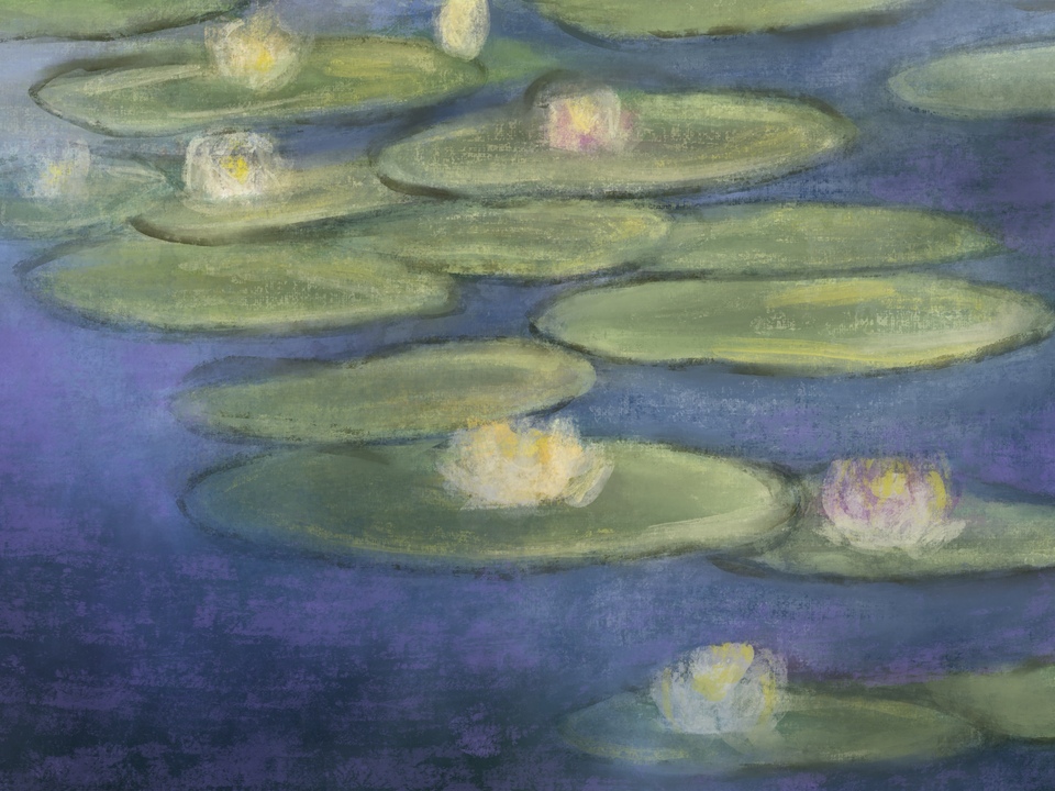 Water Lilies (3)