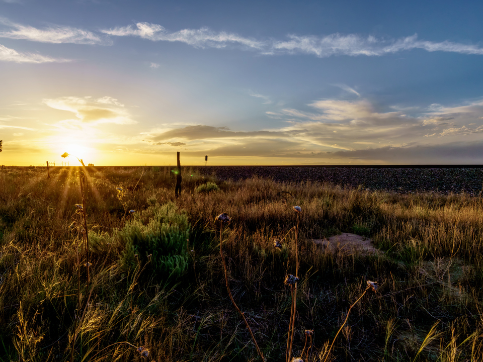 Country Rails To The Setting Sun