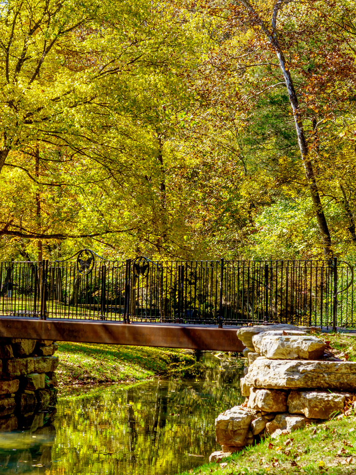 Bridge Crossing The Reflective Creek