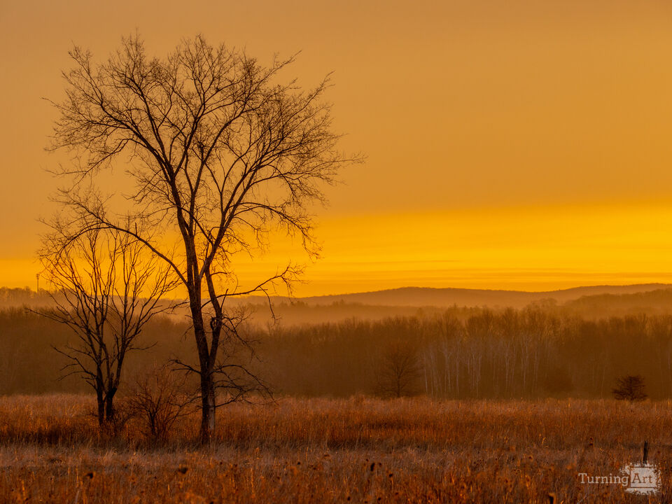 Shawangunk Grasslands