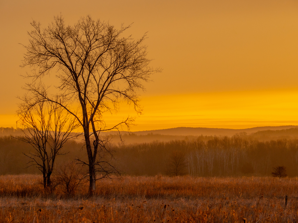 Shawangunk Grasslands
