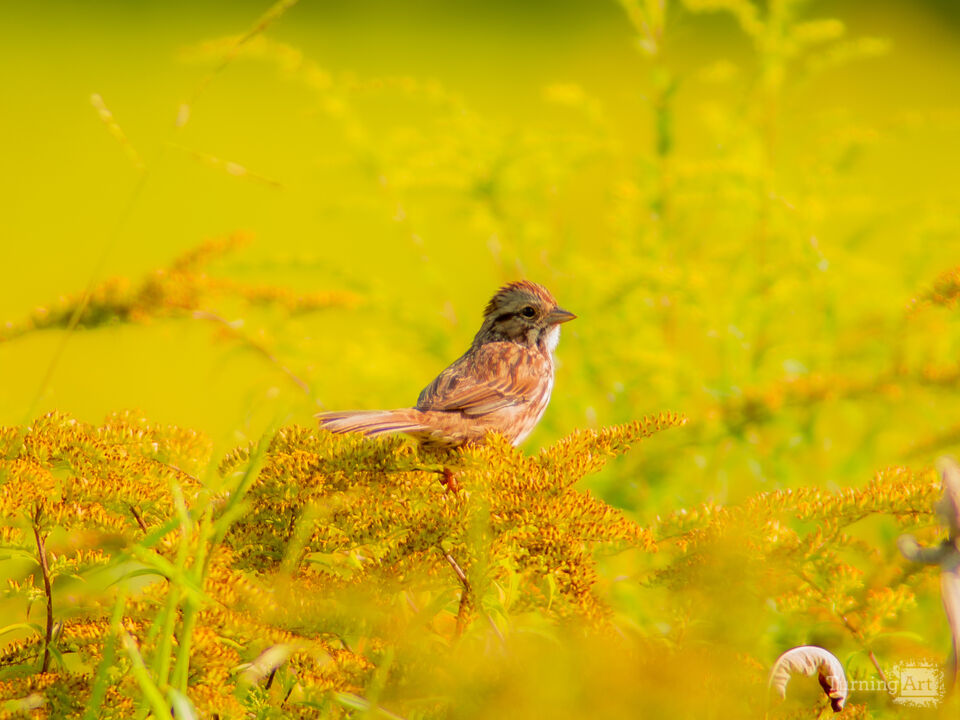 Highlights in the field