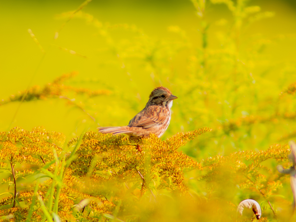 Highlights in the field