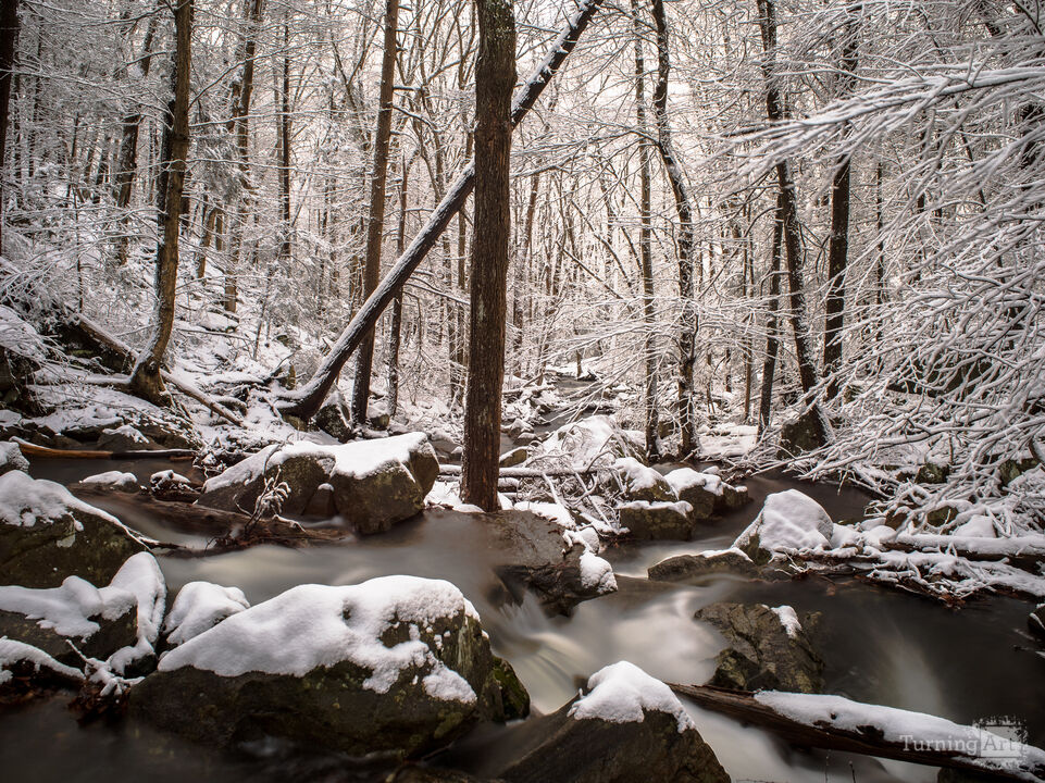 Winter among the Falls
