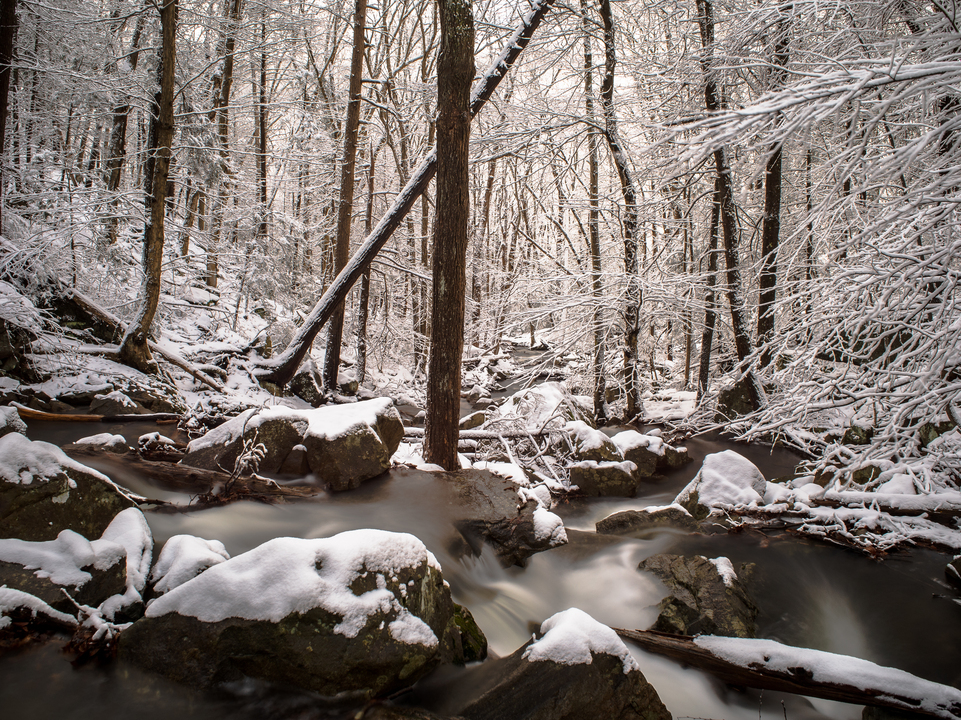 Winter among the Falls