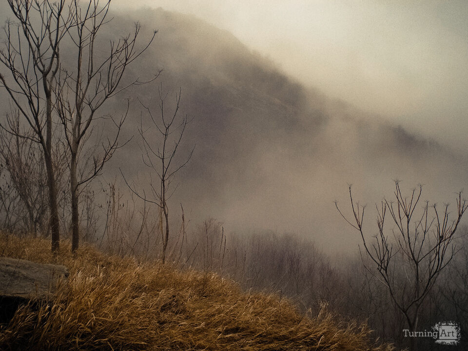 Mountain Fog