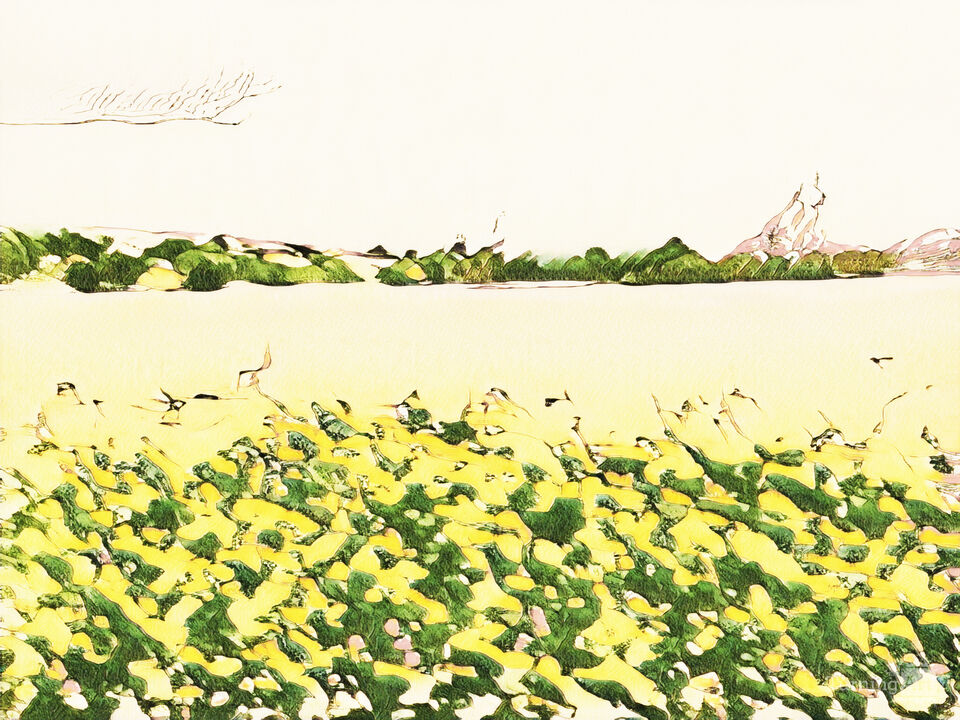 Golden Flower Meadow 4541