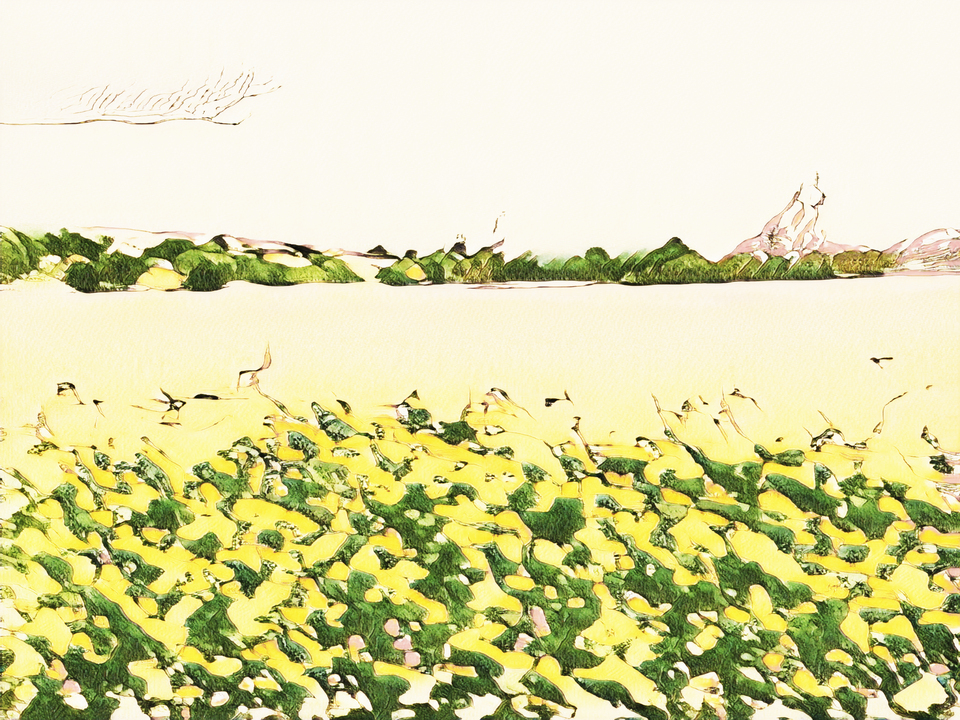 Golden Flower Meadow 4541