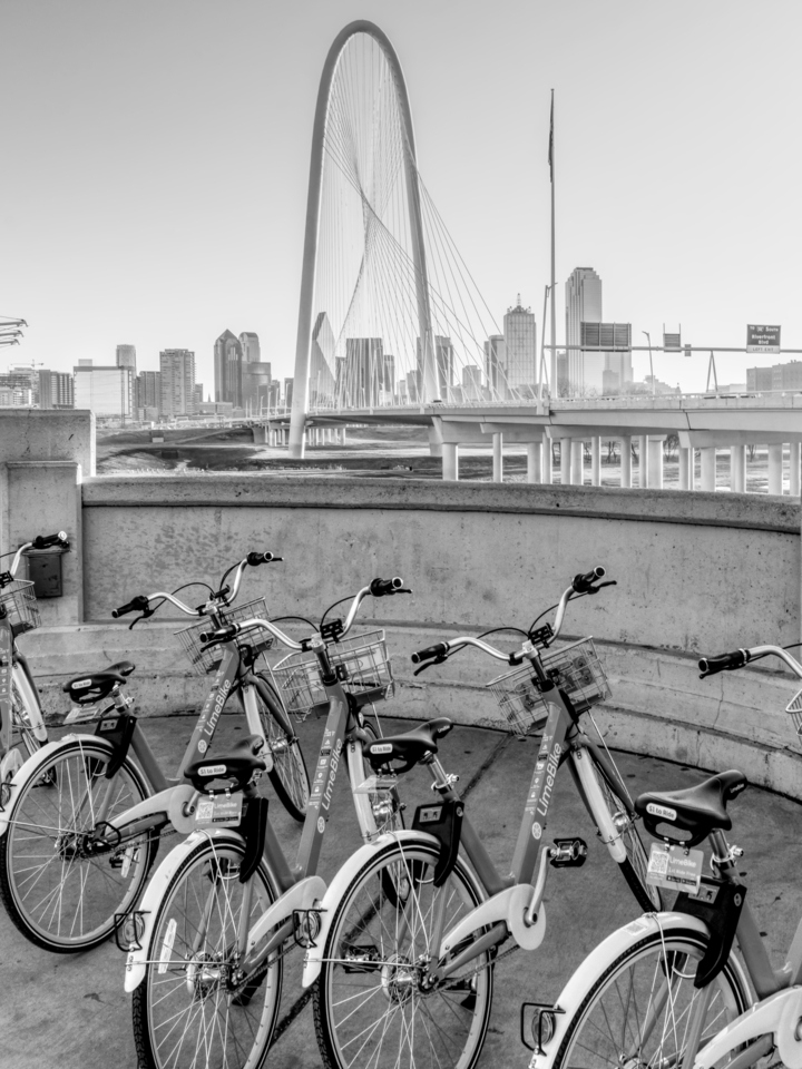Bikes In Dallas At Sunrise Grayscale