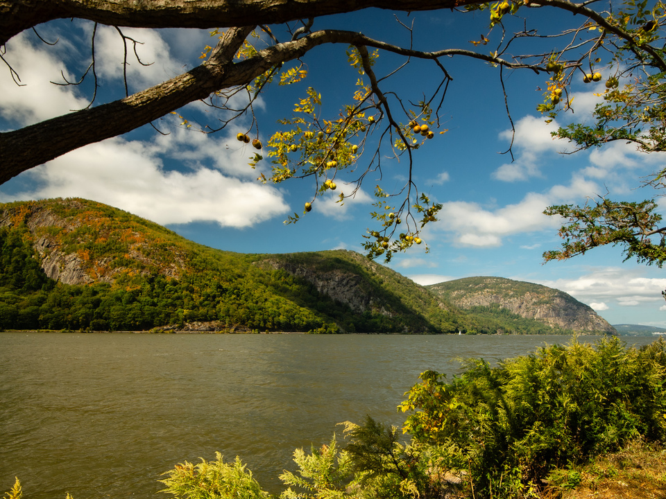 Cold Spring Landing 2 